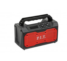 Аккумуляторное bluetooth-радио P.I.T. PJS20H-10A SOLO