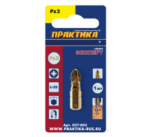 Бита PZ-3 Эксперт (25 мм) ПРАКТИКА 037-053