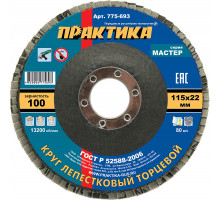 Круг лепестковый торцевой, Р 100, 115 х 22,2 Практика 775-693