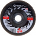 Диск лепестковый Cutop Greatflex Master 125х22.2 P36 71-12536
