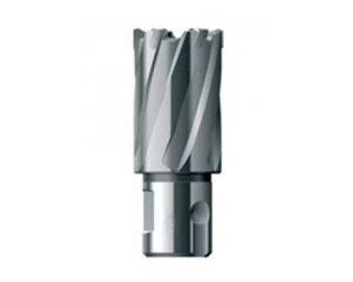 Фреза кольцевая HSS (29x30 мм) FE POWERTOOLS FE3029 Фреза кольцевая HSS (29x30 мм) FE POWERTOOLS FE3029