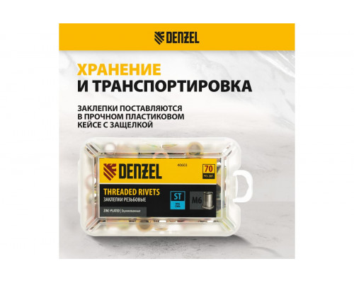 Заклепки резьбовые, стальные, оцинкованные, М6, пластиковый кейс, 70 шт. Denzel 40603 Заклепки резьбовые, стальные, оцинкованные, М6, пластиковый кейс, 70 шт. Denzel 40603