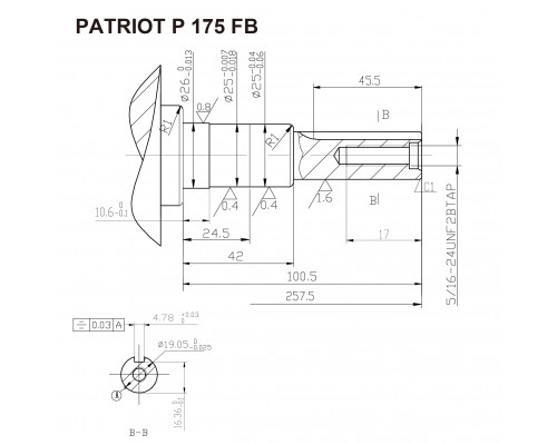 Двигатель Patriot P175FB  470108120