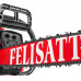 Бензопила FELISATTI 558XP FT3104