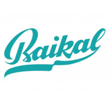 Якорь Байкал для цепной пилы Е-541 А 684.2444.020