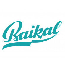 Якорь Байкал для цепной пилы Е-541 А 684.2444.020