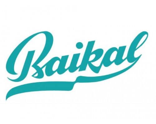 Якорь Байкал для цепной пилы Е-541 А 684.2444.020