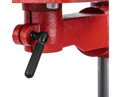 Станок сверлильный ELITECH DP 8020VRL (E2010.009.00)