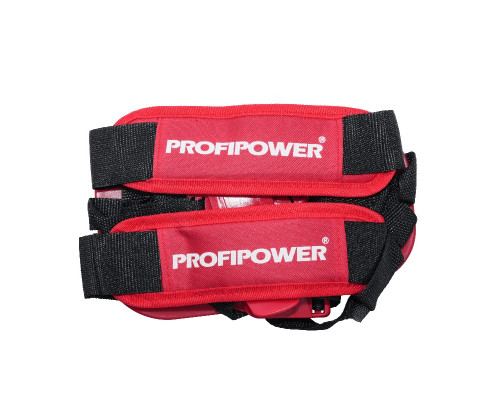 Триммер бензиновый ProfiPower БТ52B F0010