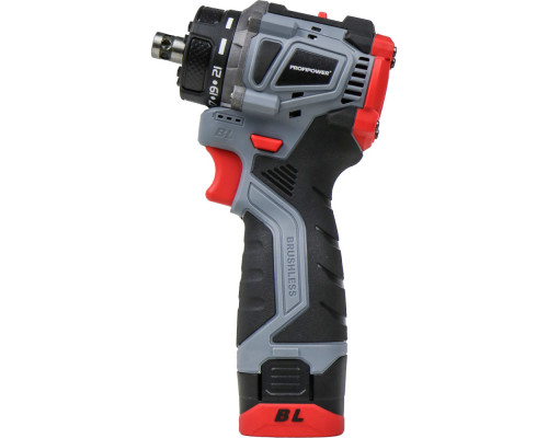 Аккумуляторный бесщеточный шуруповерт Profipower Комби BL-161C E0249