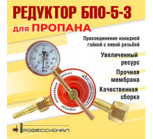 Редуктор пропановый БПО-5-3 Профессионал 70301