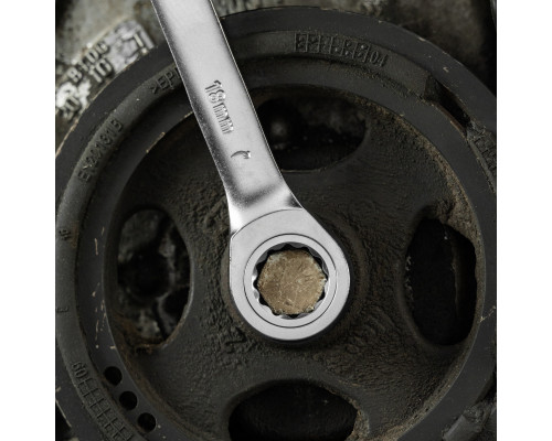 Набор ключей комбинированных трещоточных 6-19 мм, 12 шт., CrV, матовый хром Denzel 14722