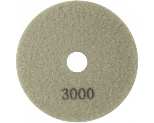 Алмазный гибкий шлифовальный круг АГШК Special 100x3 мм, Р3000 CUTOP 76-600