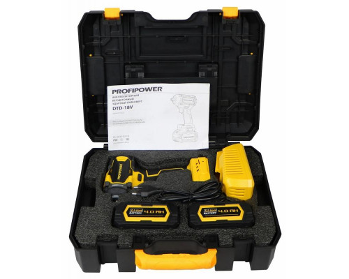Аккумуляторный бесщеточный ударный гайковерт ProfiPower DTD-18V E0223