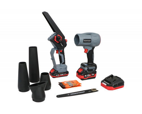 Аккумуляторный бесщеточный набор Profipower 2в1 ProfiSet-2D20 (Li-ion-2шт, 20B, 2.0Ач, 4.0Ач, в коробке, E0225, E0216) E0284